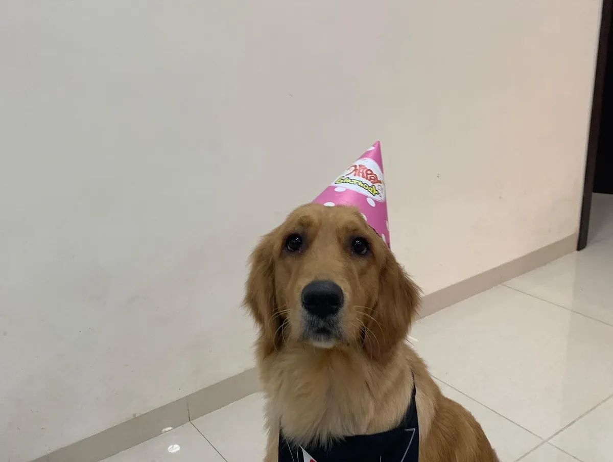 Lucky