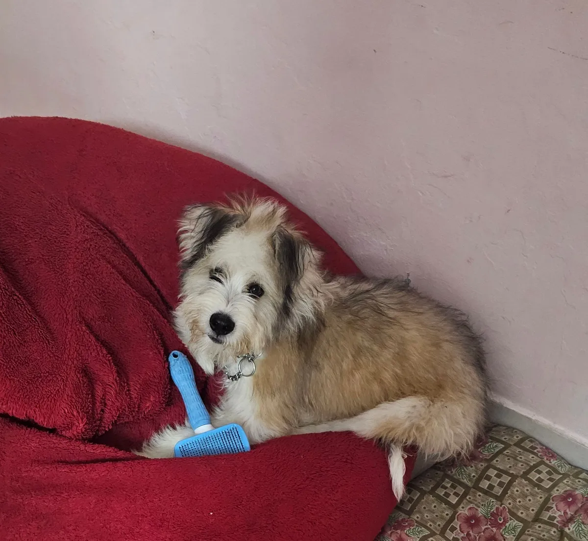 Murphy